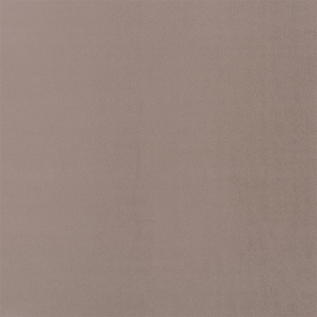 Trentino Stretto - Moleskin