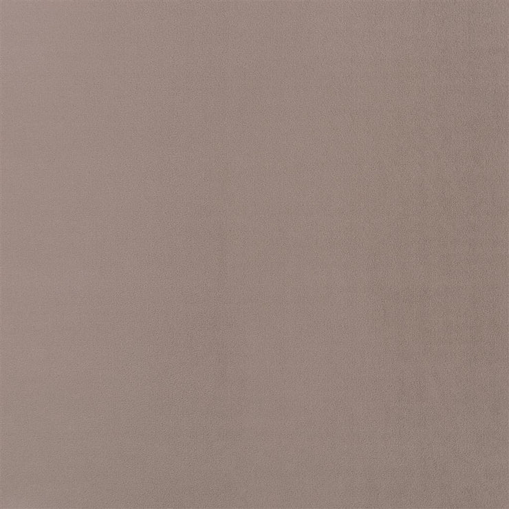 Trentino Stretto - Moleskin