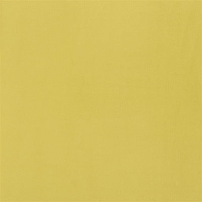 Trentino Stretto - Alchemilla