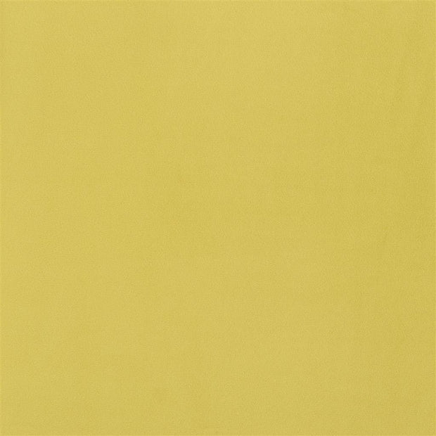 Trentino Stretto - Alchemilla