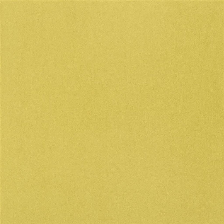 Trentino Stretto - Alchemilla