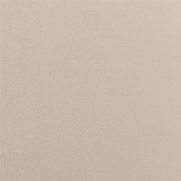 Trentino Stretto - Biscuit