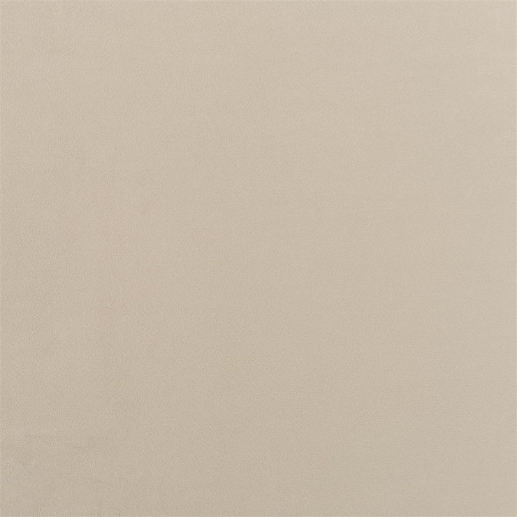 Trentino Stretto - Biscuit