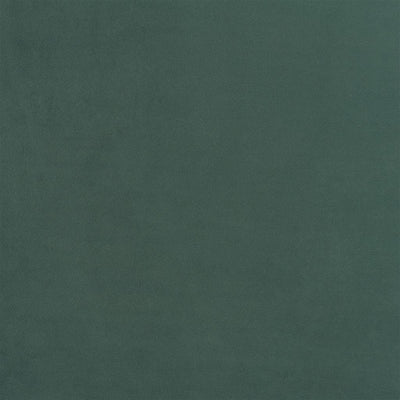 Trentino Stretto - Fir