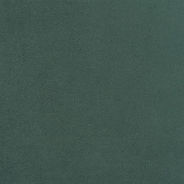 Trentino Stretto - Fir