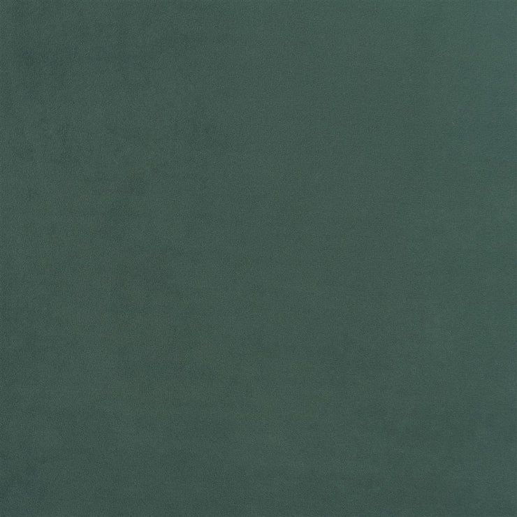 Trentino Stretto - Fir