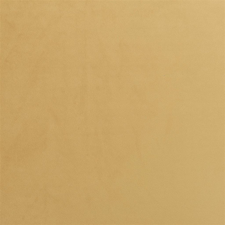 Trentino Stretto - Ochre