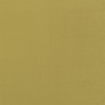 Trentino Stretto - Moss