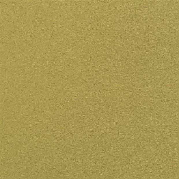 Trentino Stretto - Moss