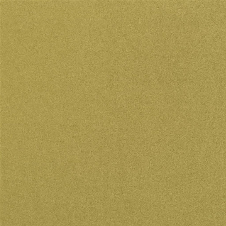 Trentino Stretto - Moss