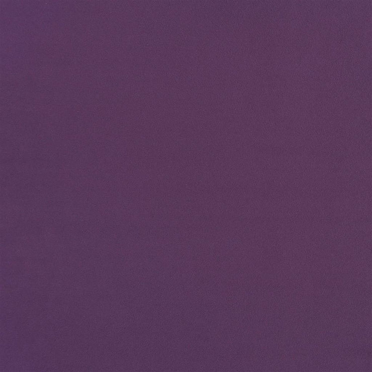 Trentino Stretto - Currant