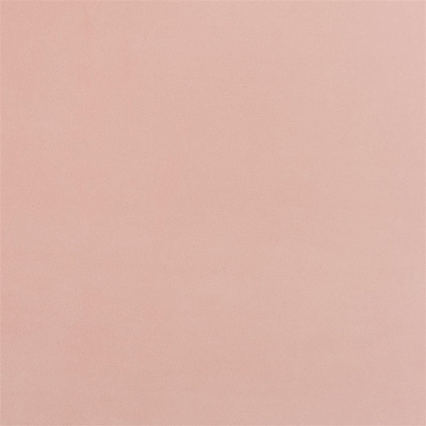 Trentino Stretto - Coral