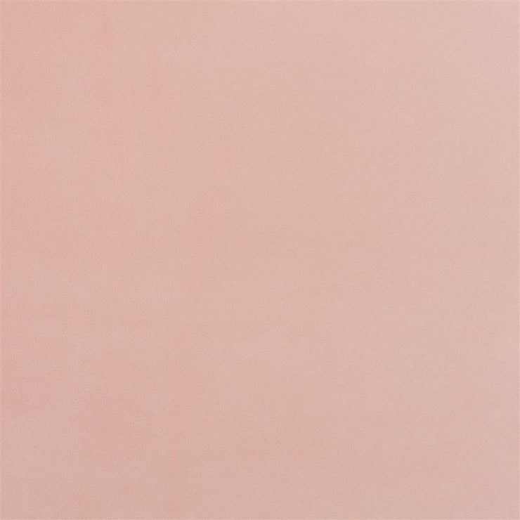 Trentino Stretto - Coral