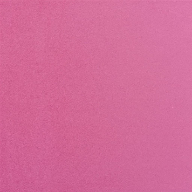 Trentino Stretto - Peony