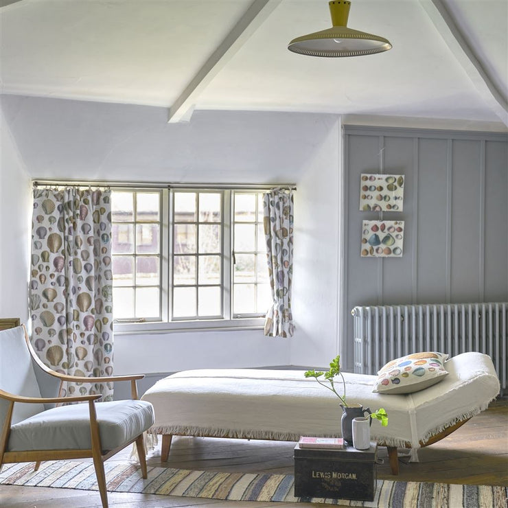 John Derian Captain Thomas Browns Shells Oyster