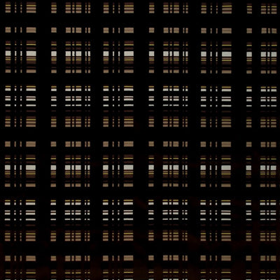 Drottningholm - Cocoa