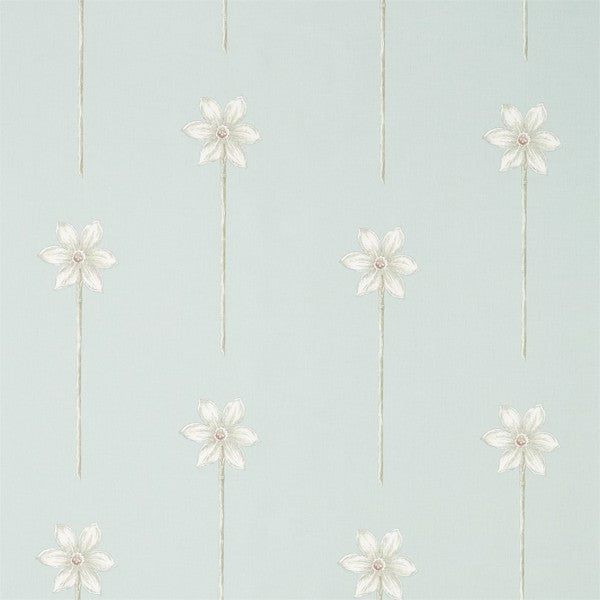 Thalia | Porcelain/orchid