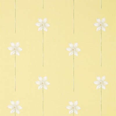 Thalia | Daffodil/natural