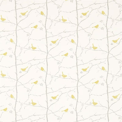 Dawn Chorus Linden/Slate