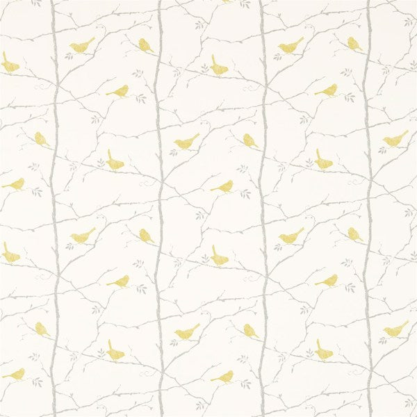 Dawn Chorus Linden/Slate