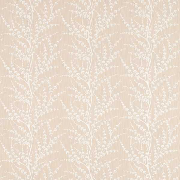 Armeria Trail Driftwood