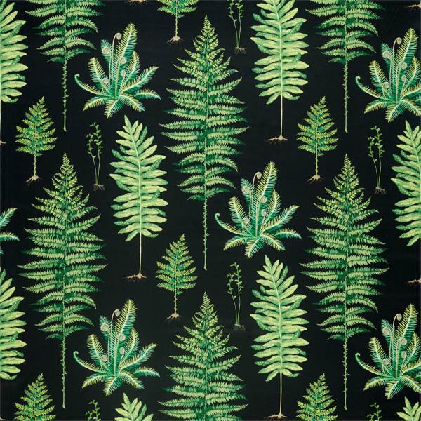 Fernery Botanical Green/Charcoal