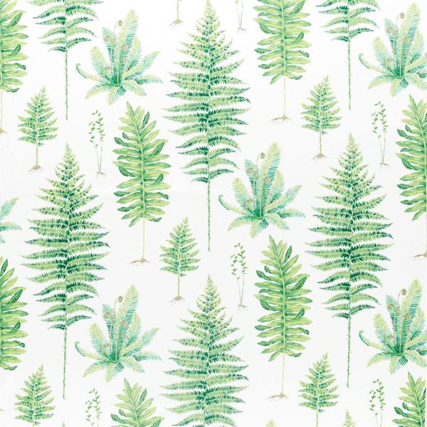 Fernery Botanical Green