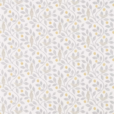 Damson Tree Dijon/Mole