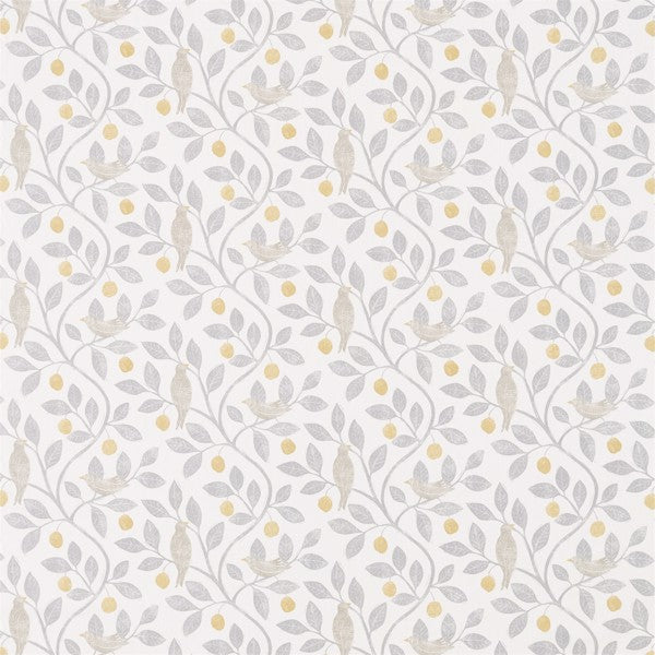 Damson Tree Dijon/Mole