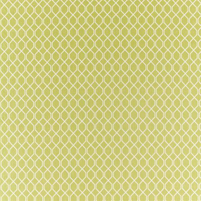 Botanic Trellis Lime