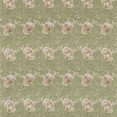 Tulip | Artichoke/gold