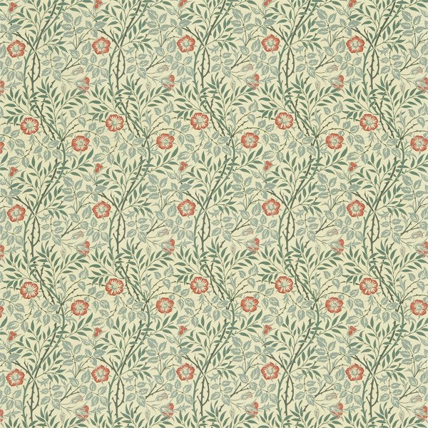 SWEET BRIAR GREEN/CORAL