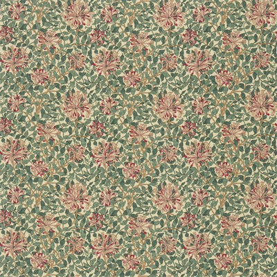 HONEYSUCKLE CREAM/WINE