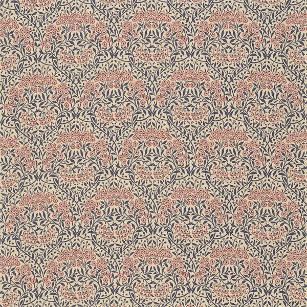 MICHAELMAS DAISY INDIGO/RED