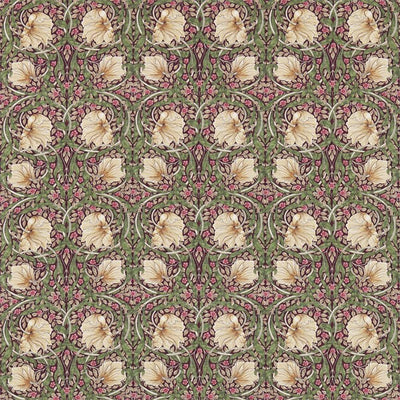 Pimpernel | Aubergine/olive