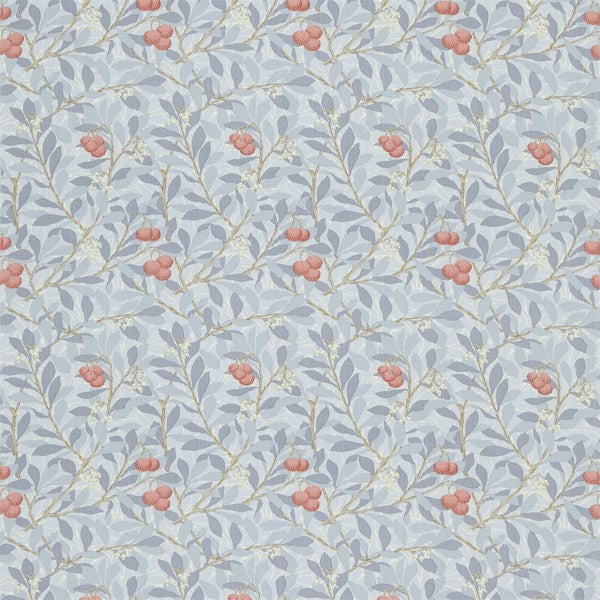 Arbutus DMFPAR202 Blue