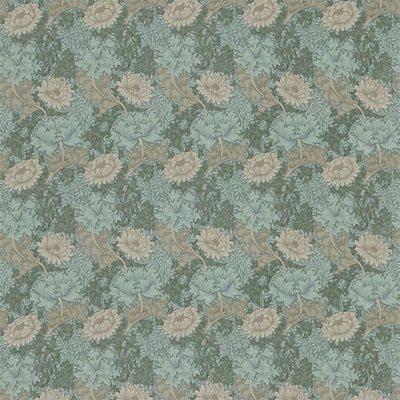 Chrysanthemum DMFPCH208 Green/Biscuit