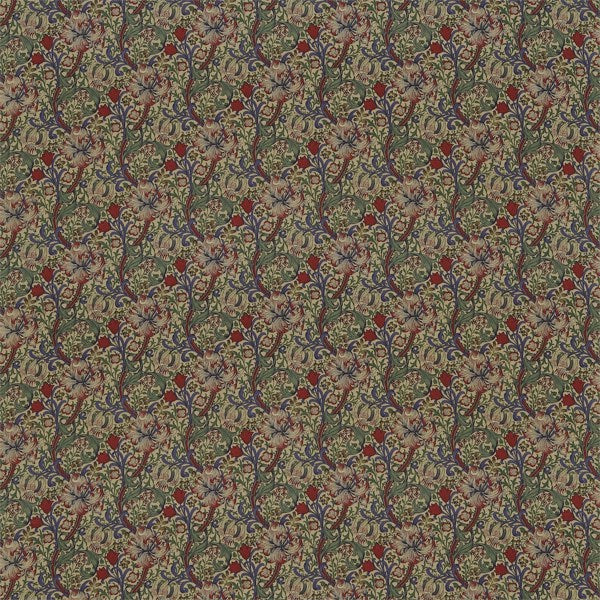 Golden Lily Minor DMFPGM214 Biscuit/Indigo/Red