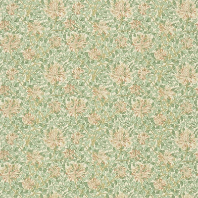 Dmfpho205 | Artichoke/plaster