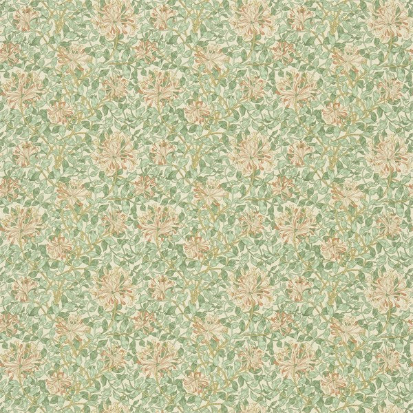 Dmfpho205 | Artichoke/plaster