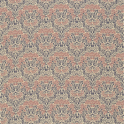 Michaelmas Daisy DMFPMI201 Indigo/Red