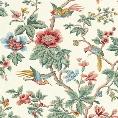 Lophura | Chintz