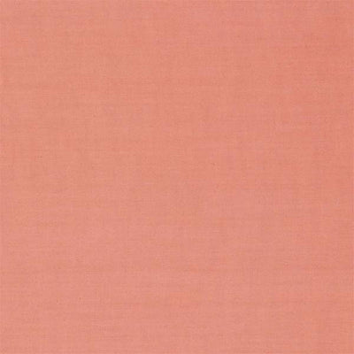 Ruskin Sea Pink