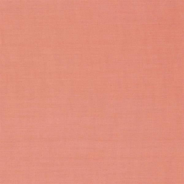 Ruskin Sea Pink