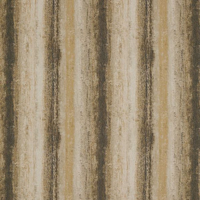 Cambium Charcoal/Saffron