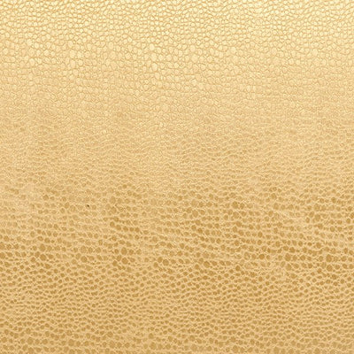 Pistachio | F0469/12