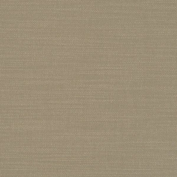 Eucalyptus | F0594/19