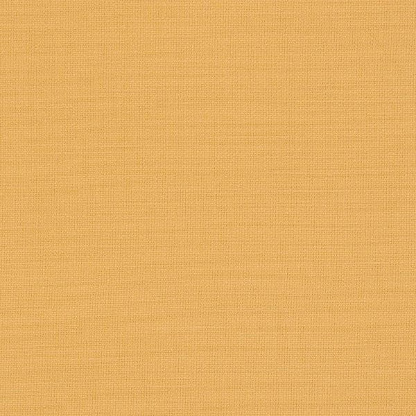 Sunflower | F0594/53