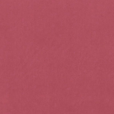 Peony | Clarke&clarke