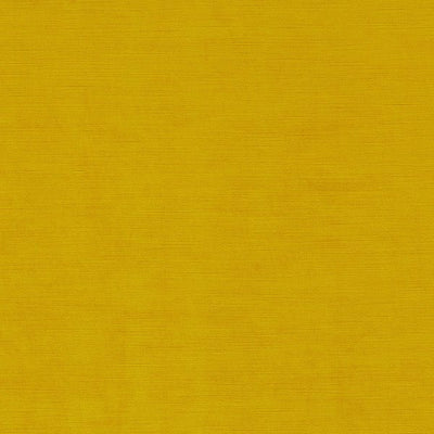 Chartreuse | Launchss22